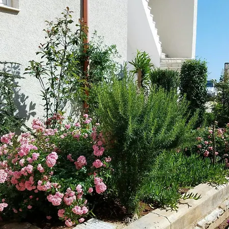 Apartamento Stone Beach Himarë